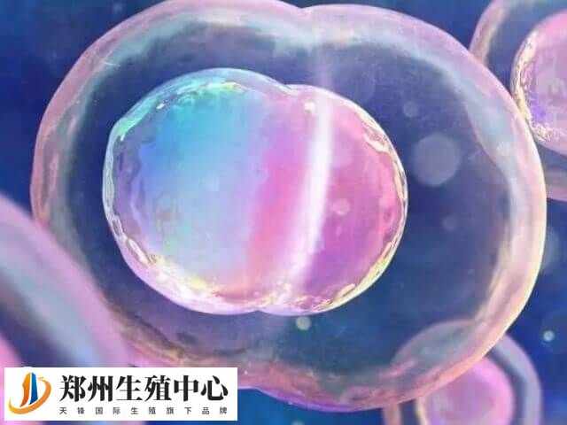 选择有丰富经验的医院进行试管治疗成功率高