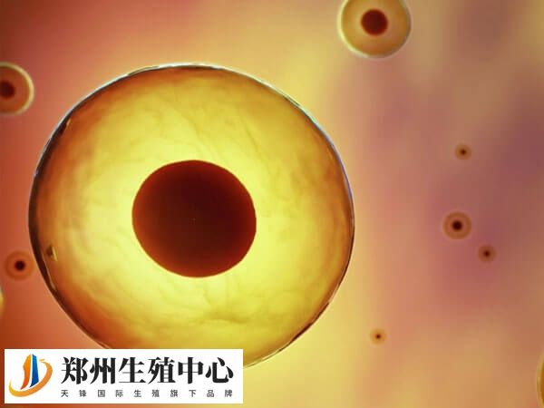 国家禁止任何形式的非医学需要的胎儿性别鉴定