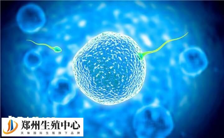 在私人医院做三代试管婴儿的费用因多种因素而异