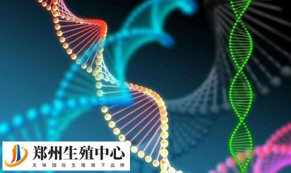 国内禁止非医学需要进行胎儿性别鉴定