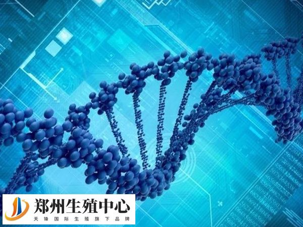 三代试管技术是指胚胎筛查