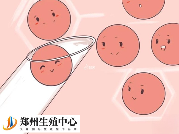 取卵时间有讲究