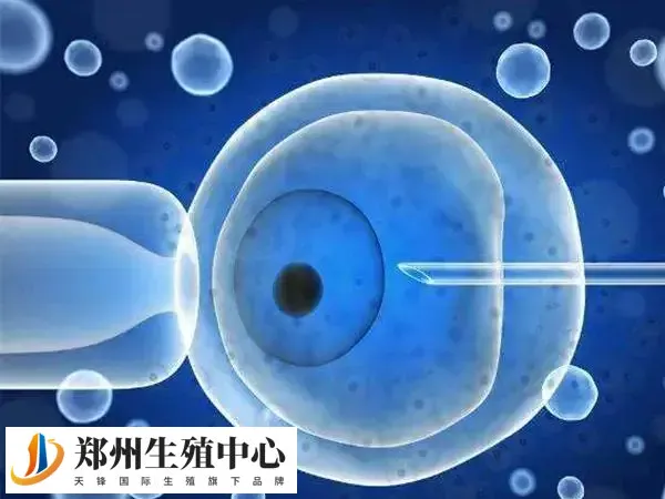 空卵和跑卵是两种情况