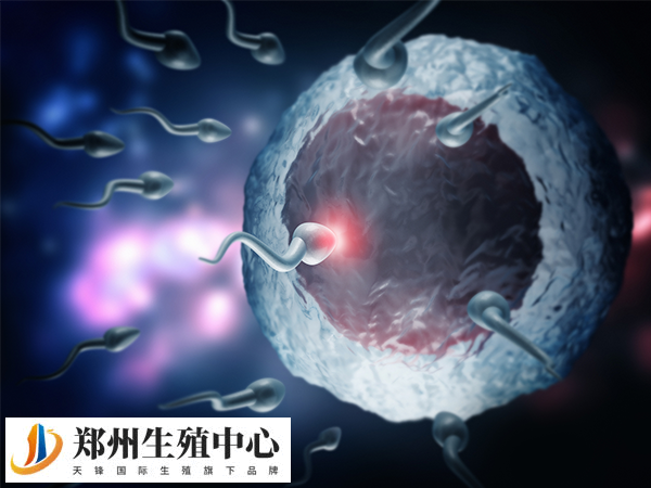 胚胎质量不良不会导致胎儿畸形