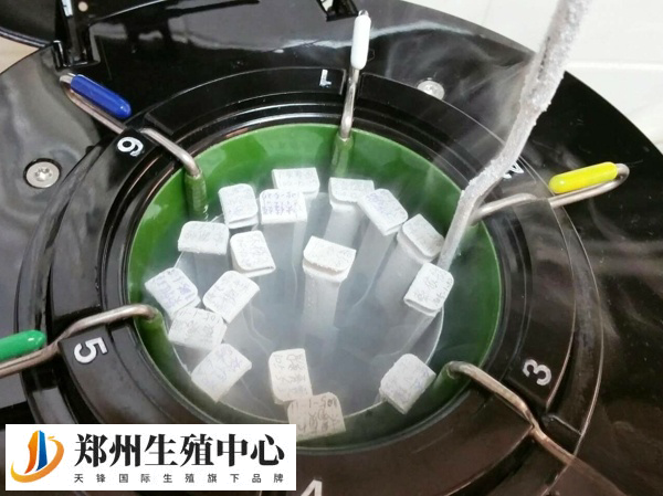 质量较差的胚胎有机会正常妊娠