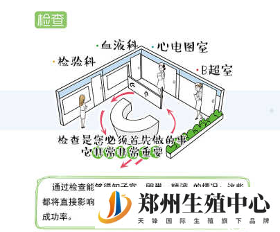 试管婴儿前期检查