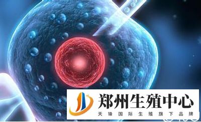 试管婴儿长方案