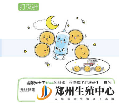 打夜针准备取卵