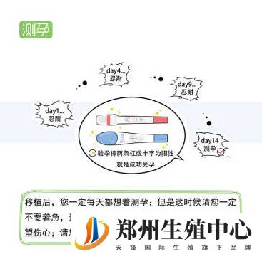 移植后验孕查hcg