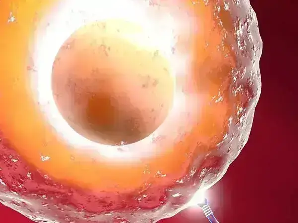 试管婴儿的成功率因人而异