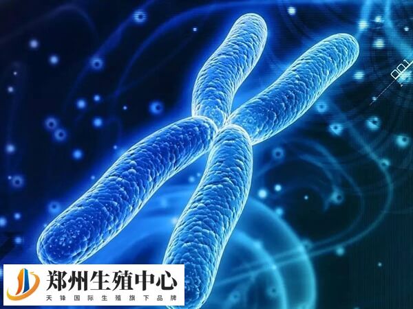 PGD适用于夫妻双方有明确遗传病及家族遗传史