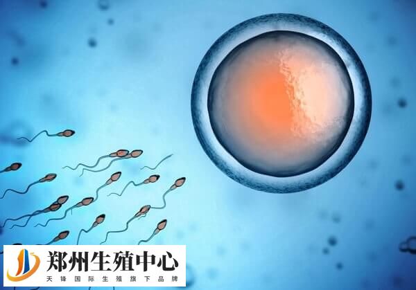 试管移植是世界上最先进的生殖技术之一