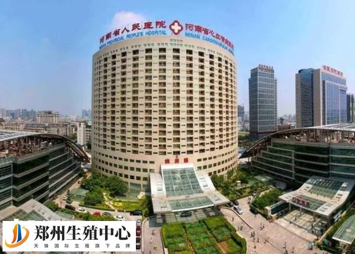 河南哪家医院试管成功率高