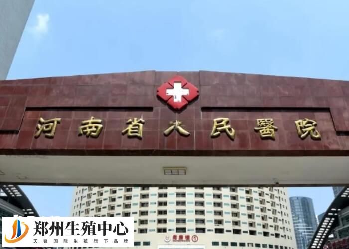 河南省人民医院位于河南省郑州市金水区纬五路7号