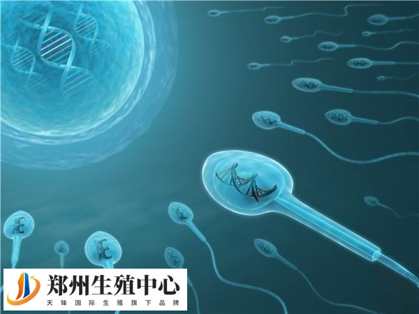 一附院成功率大约在60%左右