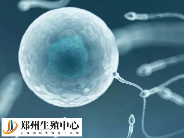 国内做三代试管不能随意选男女