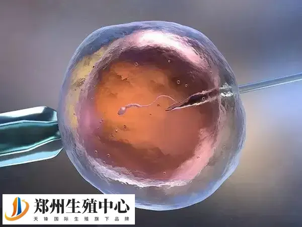 试管婴儿降调加替代方案优势是什么