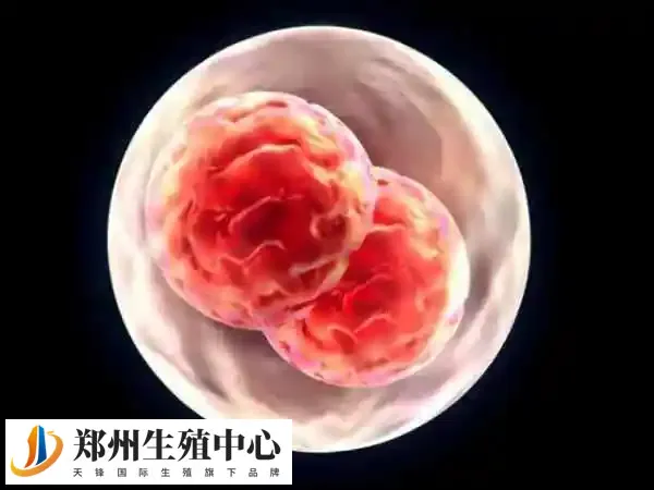 多囊做试管婴儿好还是促排好