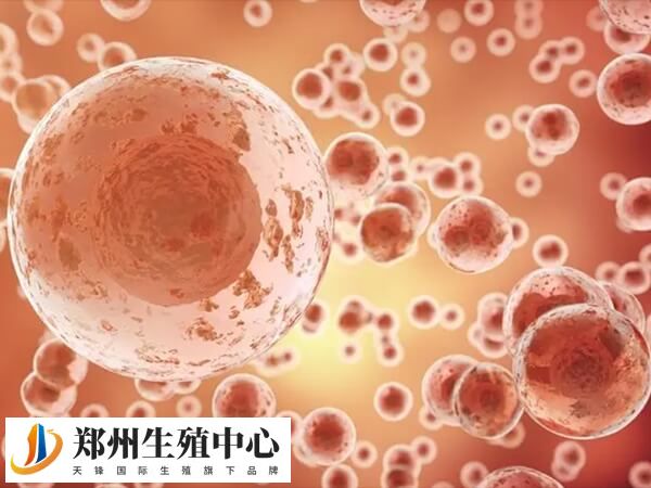 取卵穿刺子宫损伤大不大